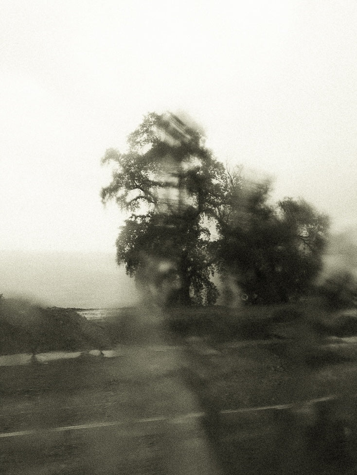 Seestück #25, Lake of Zurich by Patrick Lambertz, limited edition photography