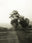 Seestück #25, Lake of Zurich by Patrick Lambertz, limited edition photography
