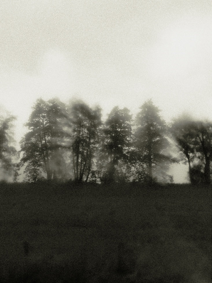 Seestück #27, Lake of Zurich by Patrick Lambertz, limited edition photography