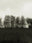 Seestück #27, Lake of Zurich by Patrick Lambertz, limited edition photography