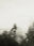Seestück #28, Lake of Zurich by Patrick Lambertz, limited edition photography