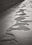 Sand Steps by Monika Maroziene, limited edition photography