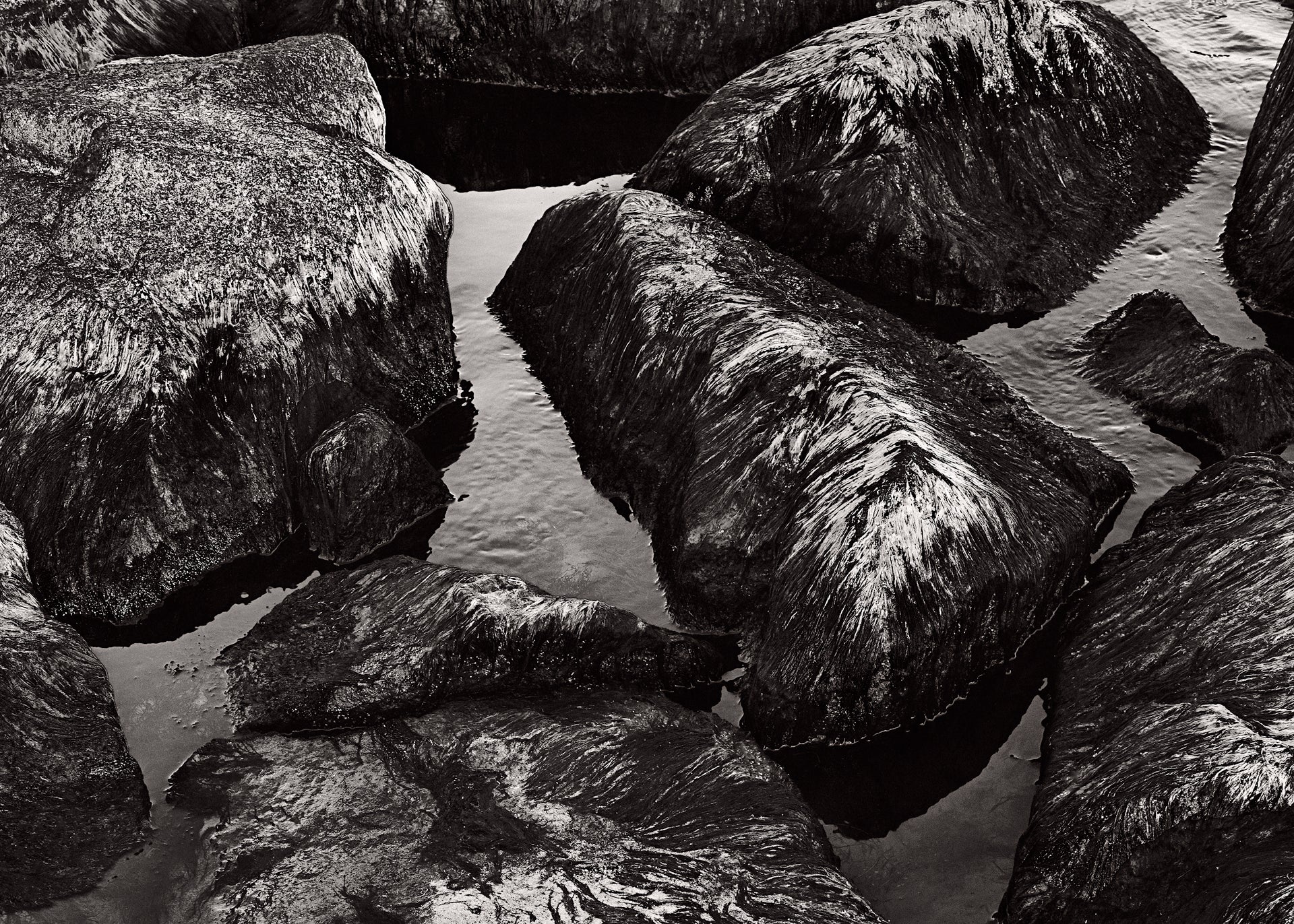 Blooming stones by Monika Maroziene, limited edition photography