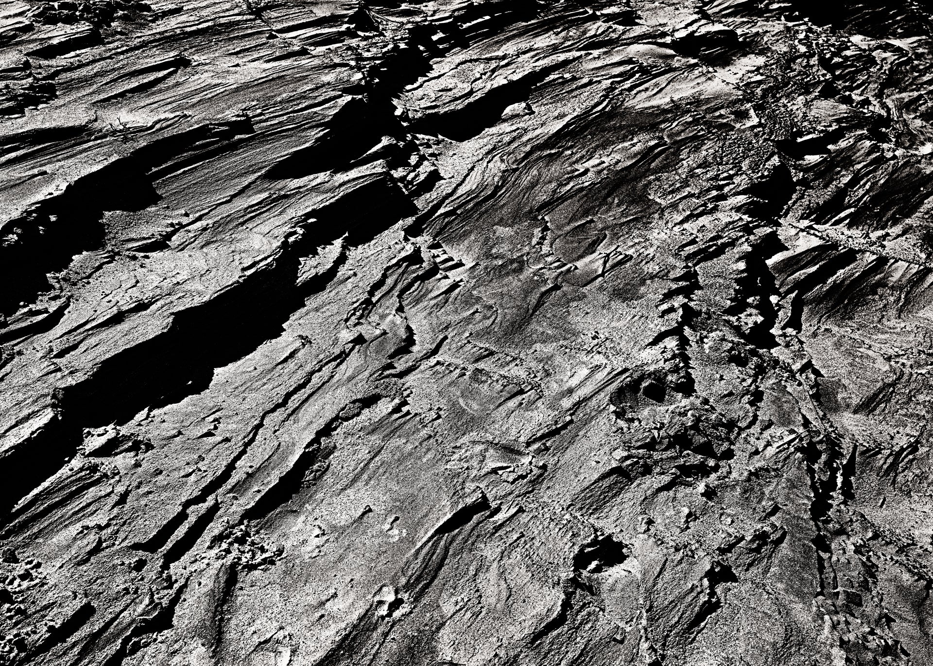 Closer VI by Monika Maroziene, limited edition photography
