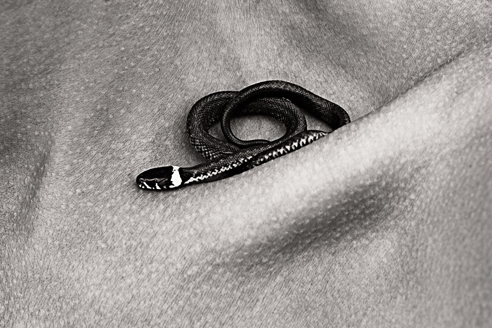 Shelter I by Monika Maroziene, limited edition photography