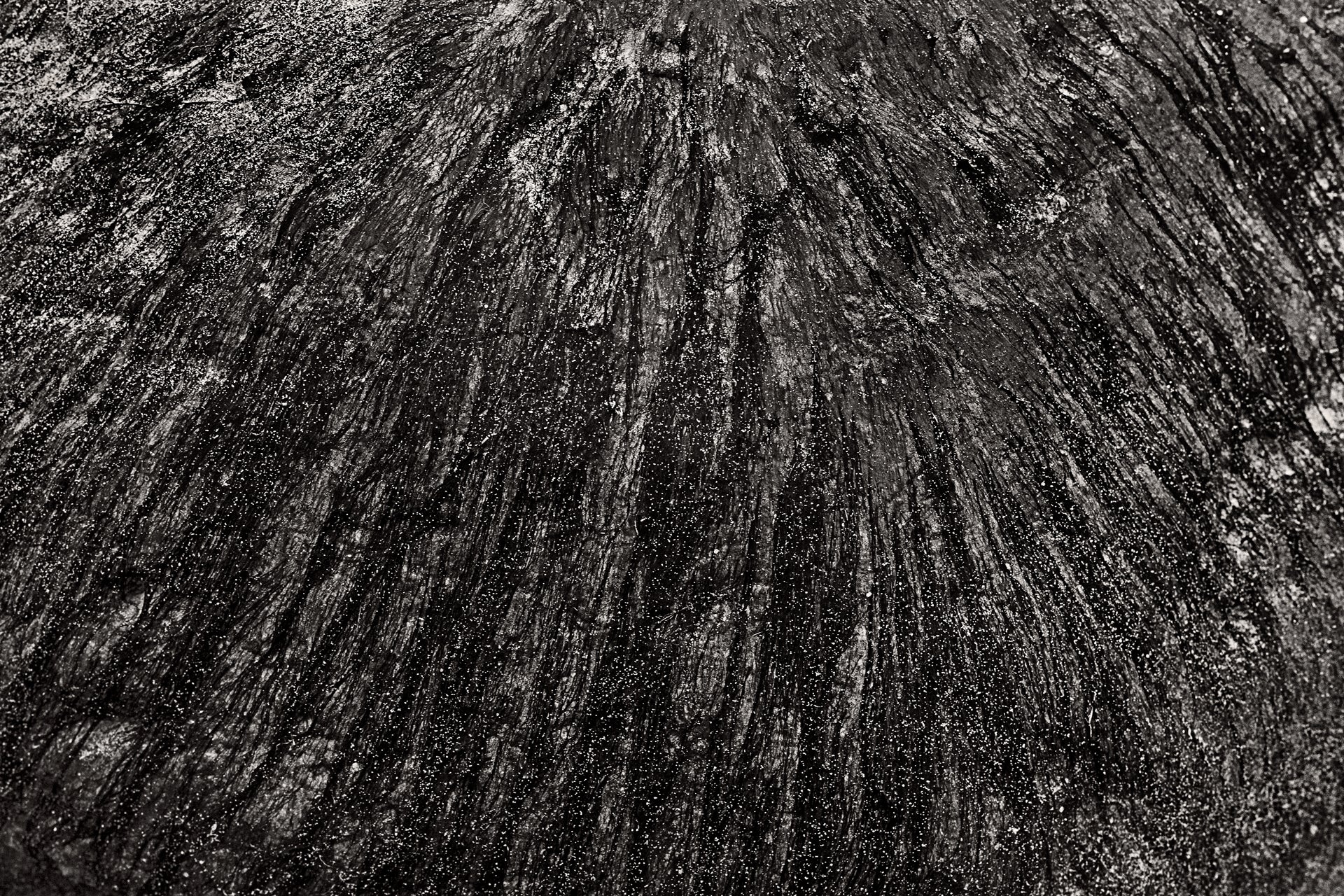 Closer IV by Monika Maroziene, limited edition photography