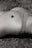 Honey by Monika Maroziene, limited edition photography