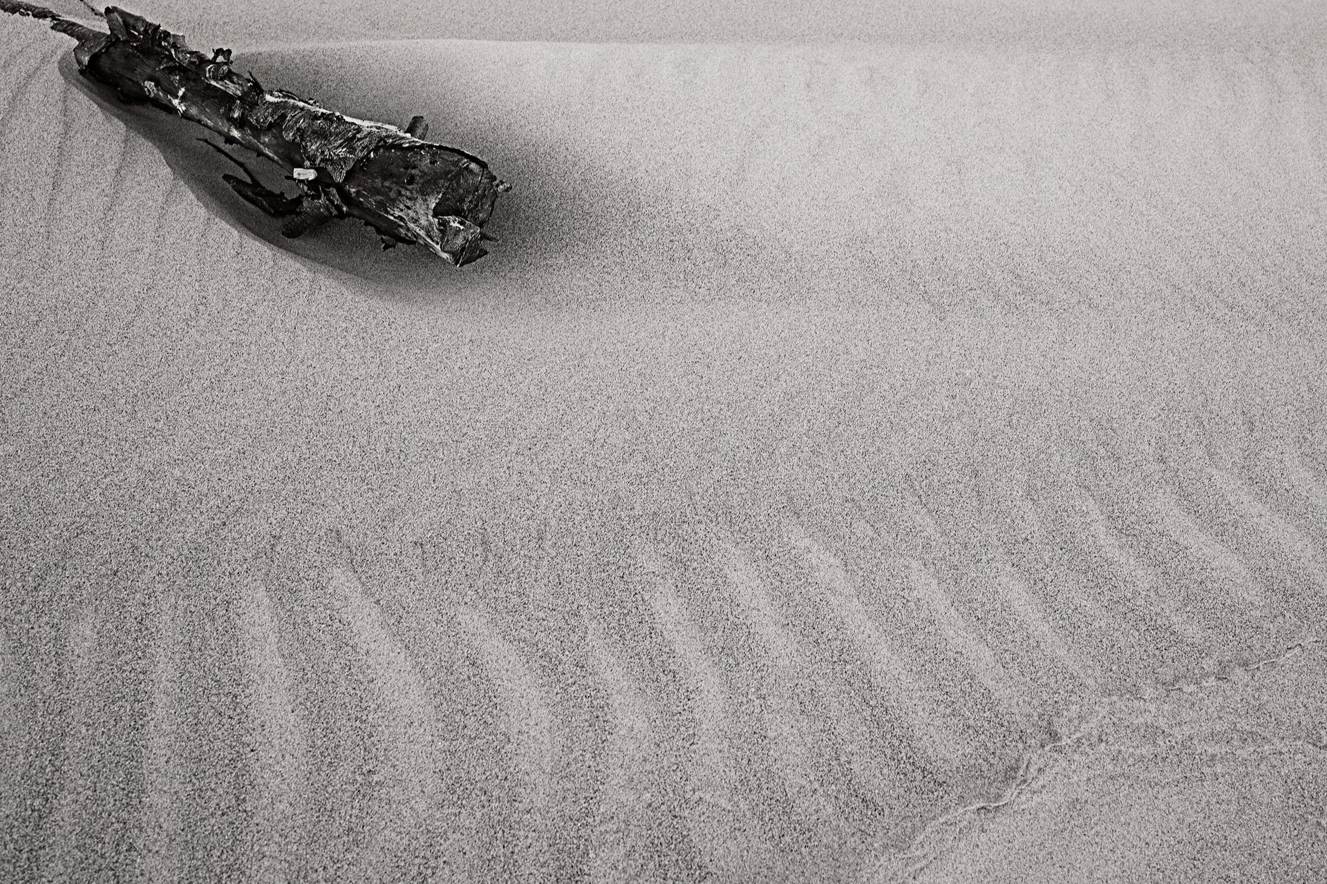 Summer Breeze II by Monika Maroziene, limited edition photography