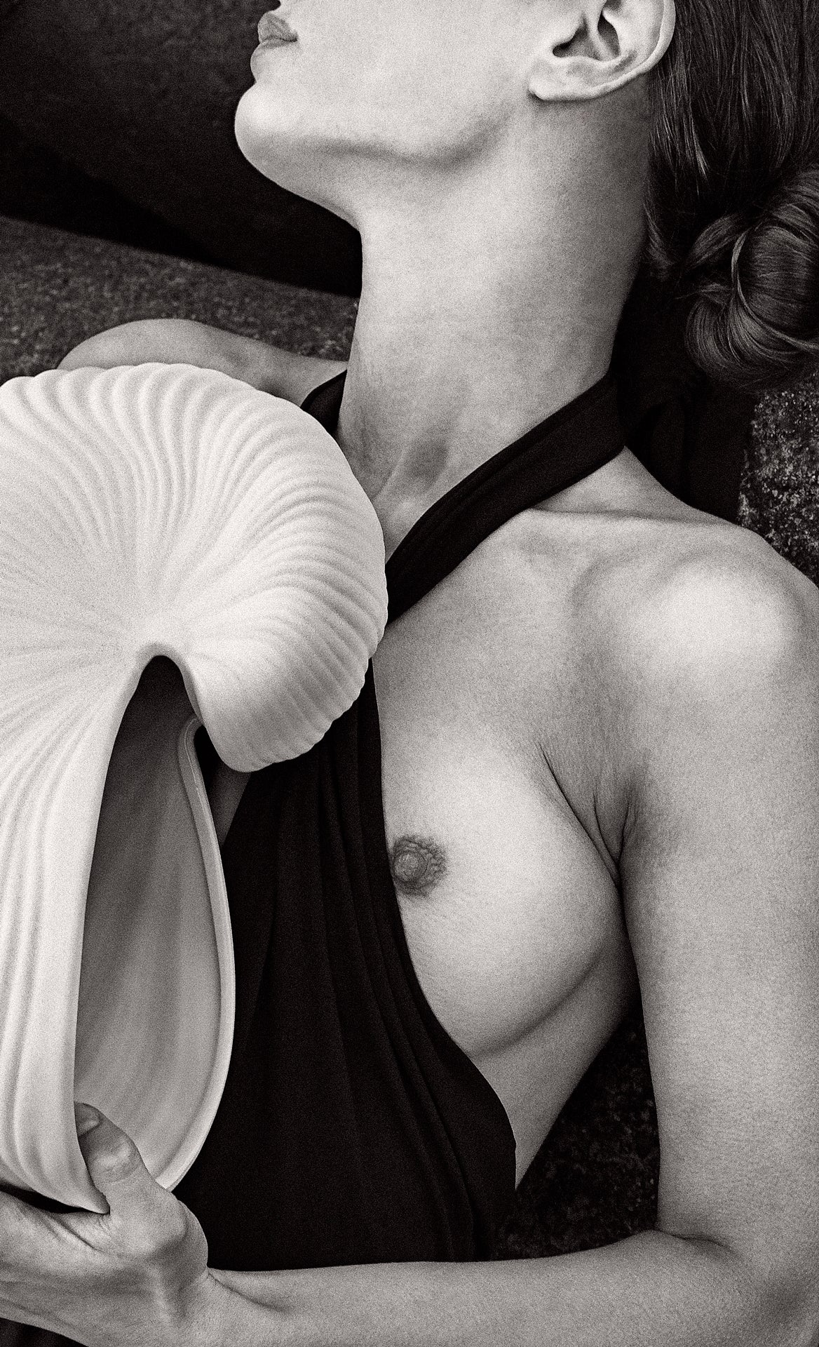 Seashell by Monika Maroziene, limited edition photography