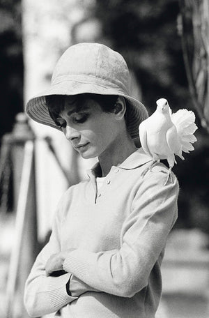 Hepburn with Dove