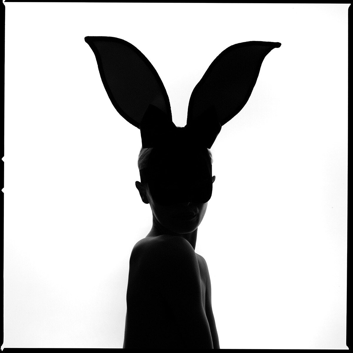 Bunny Silhouette