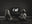 The Kids by Tyler Shields, limited edition photography