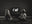 The Kids by Tyler Shields, limited edition photography
