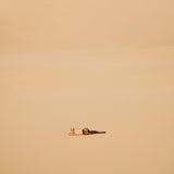 The Girl in the Desert