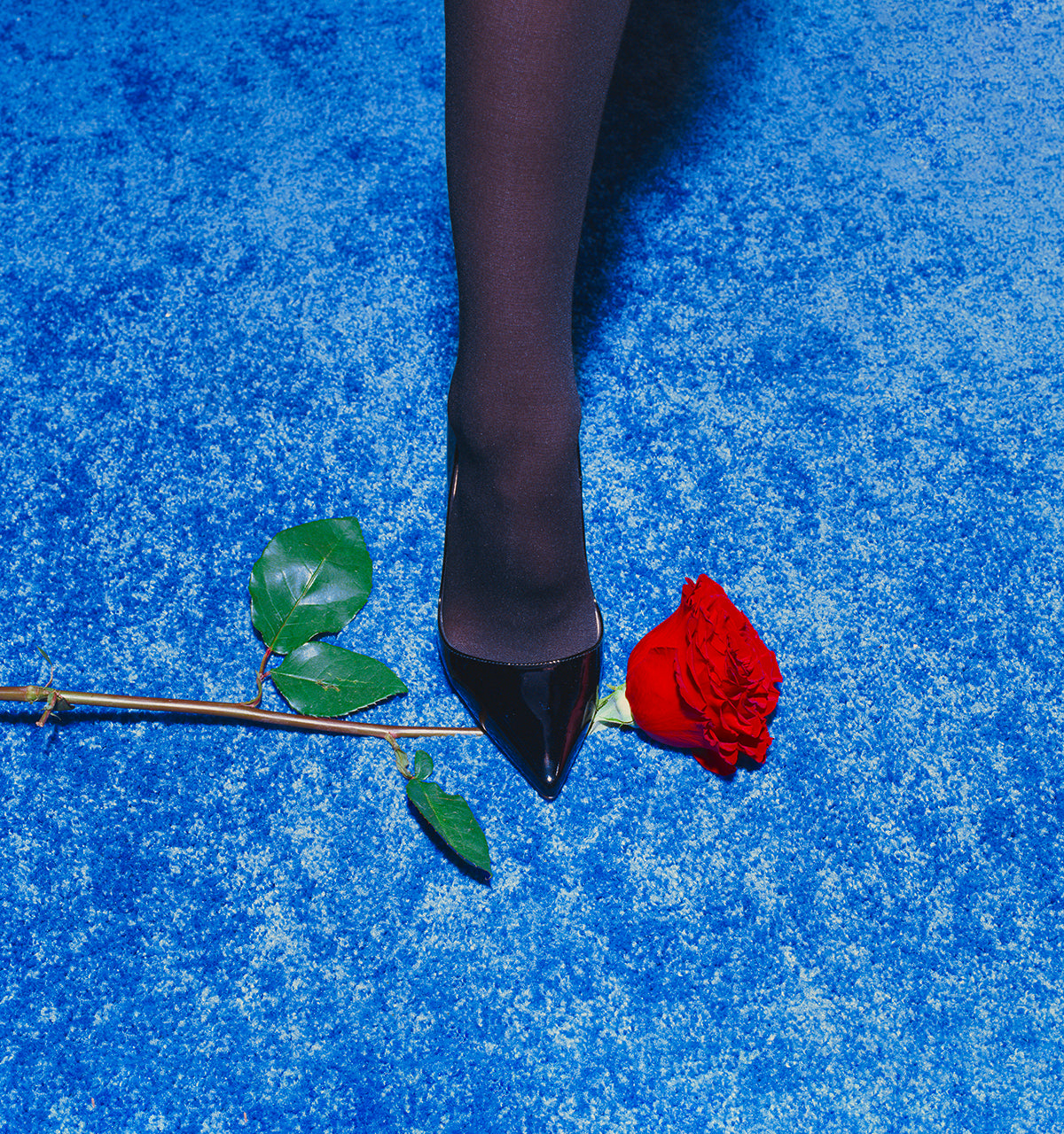 Red Rose by Tyler Shields, limited edition photography