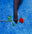 Red Rose by Tyler Shields, limited edition photography