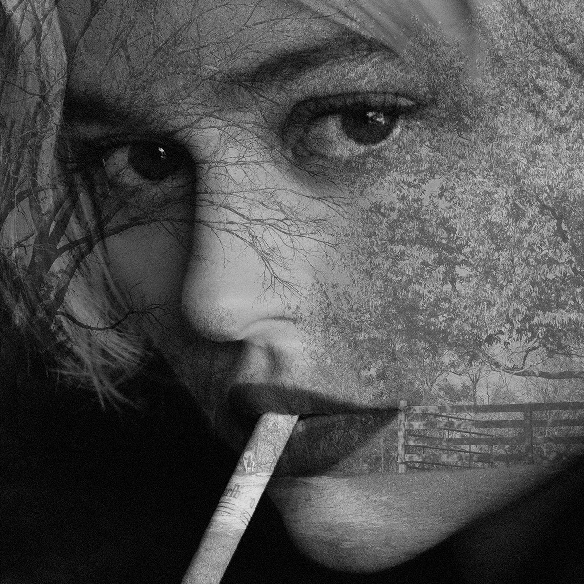 Emily by Tyler Shields, limited edition photography