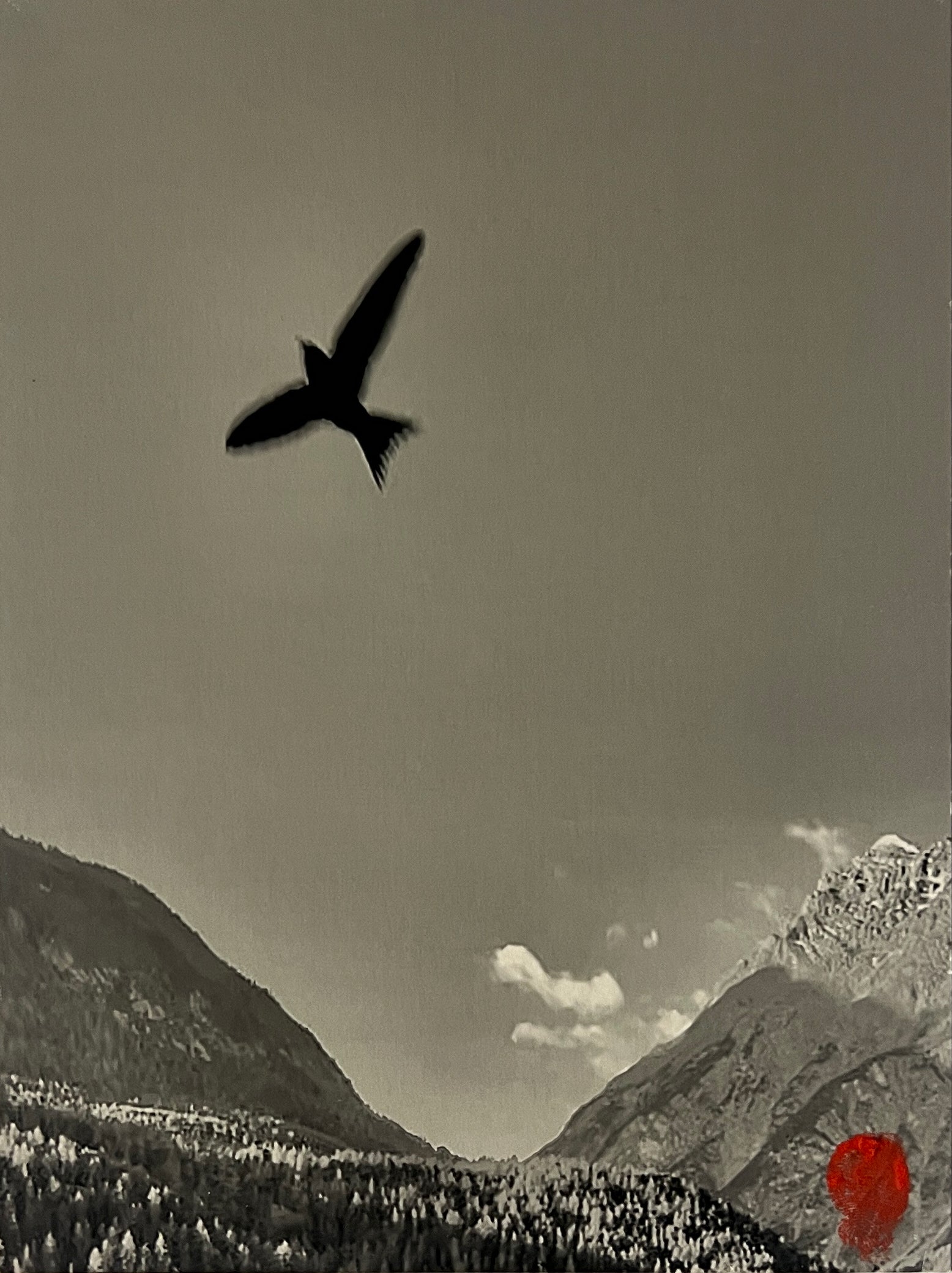 My Window 45 by Beny Steiner, limited edition photography