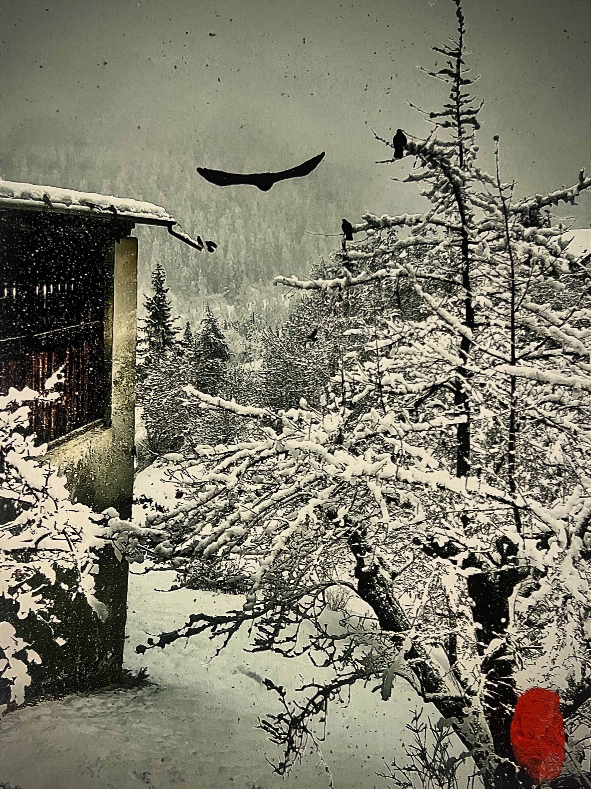 My Window 47 by Beny Steiner, limited edition photography