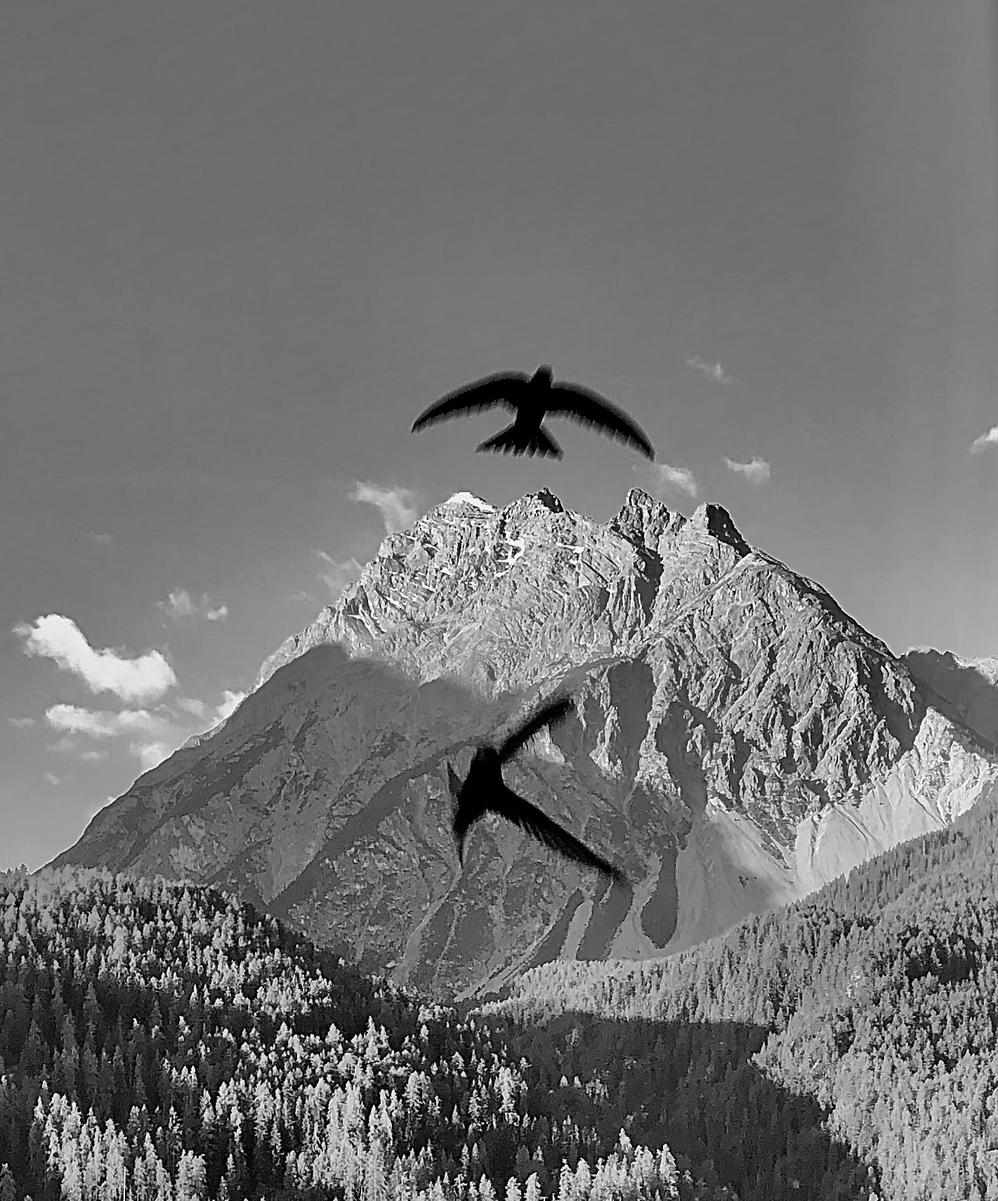 View Room No 2 I (part of a Triptych) by Beny Steiner, limited edition photography