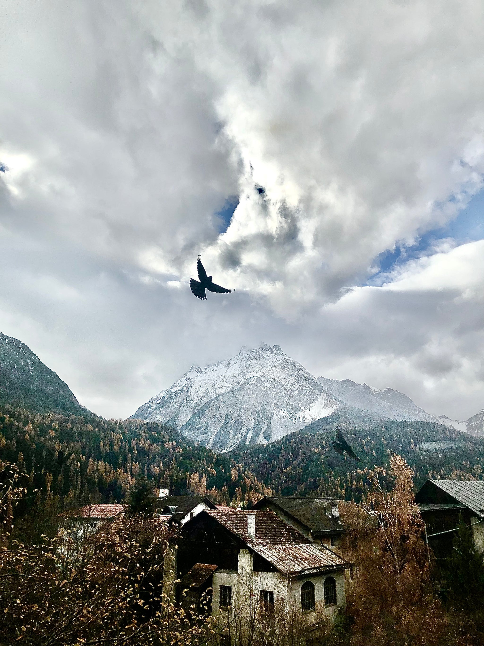 View Room No 2 III by Beny Steiner, limited edition photography