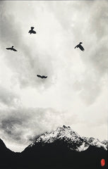 Piz Pisoc 11 by Beny Steiner, limited edition photography