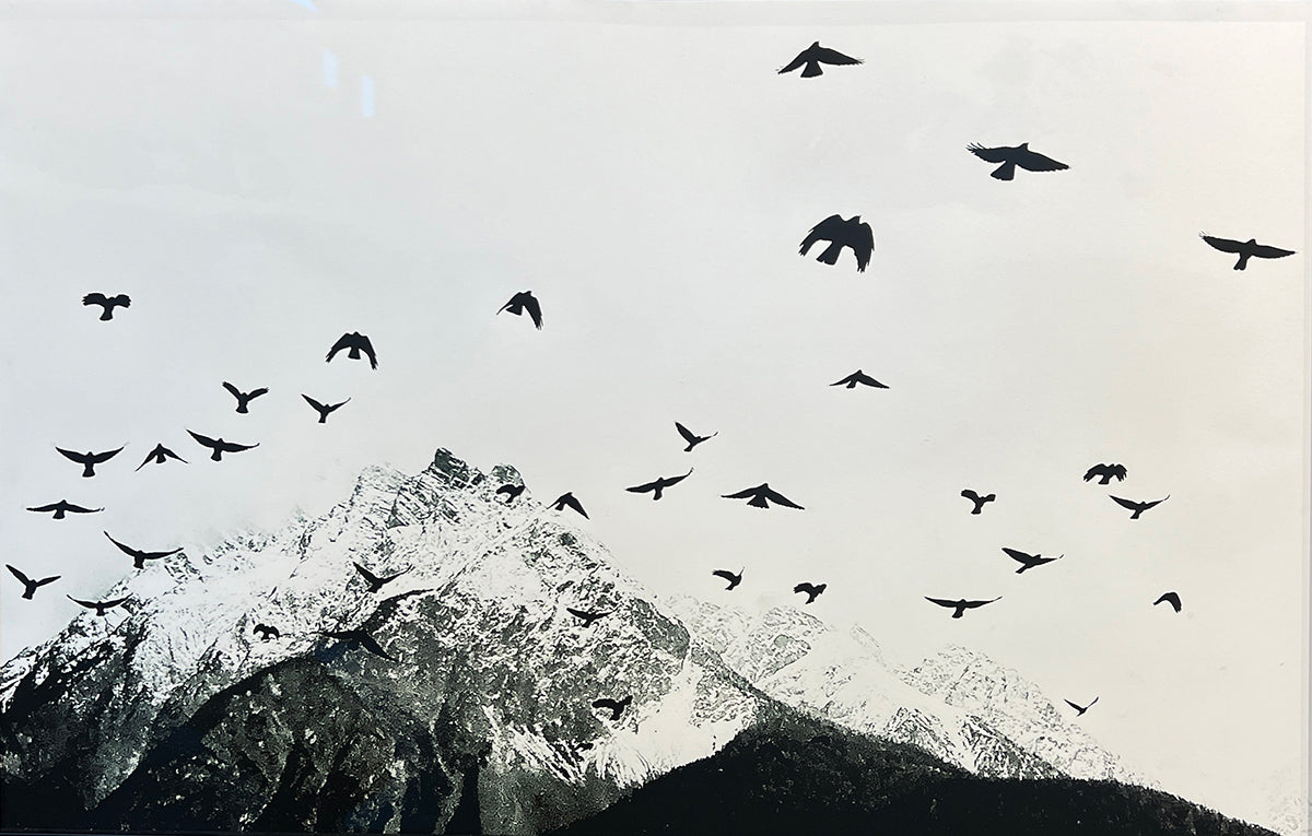 Piz Pisoc 16 by Beny Steiner, limited edition photography
