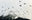 Piz Pisoc 16 by Beny Steiner, limited edition photography