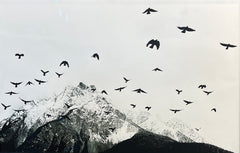 Piz Pisoc 16 by Beny Steiner, limited edition photography