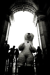 Polar Bear at Arco Triunfal da Rua Augusta, Lisbon
