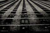 Looking Up, New York