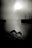 Early Bird, Lisbon  by Andreas H. Bitesnich, limited edition photography