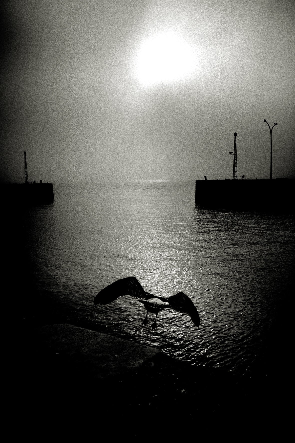 Early Bird, Lisbon  by Andreas H. Bitesnich, limited edition photography