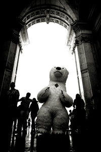 Polar Bear at Arco Triunfal da Rua Augusta, Lisbon