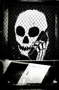 Can you hear me now Dr. Pink?, New York