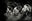 Happy dogs, Tokyo by Andreas H. Bitesnich, limited edition photography