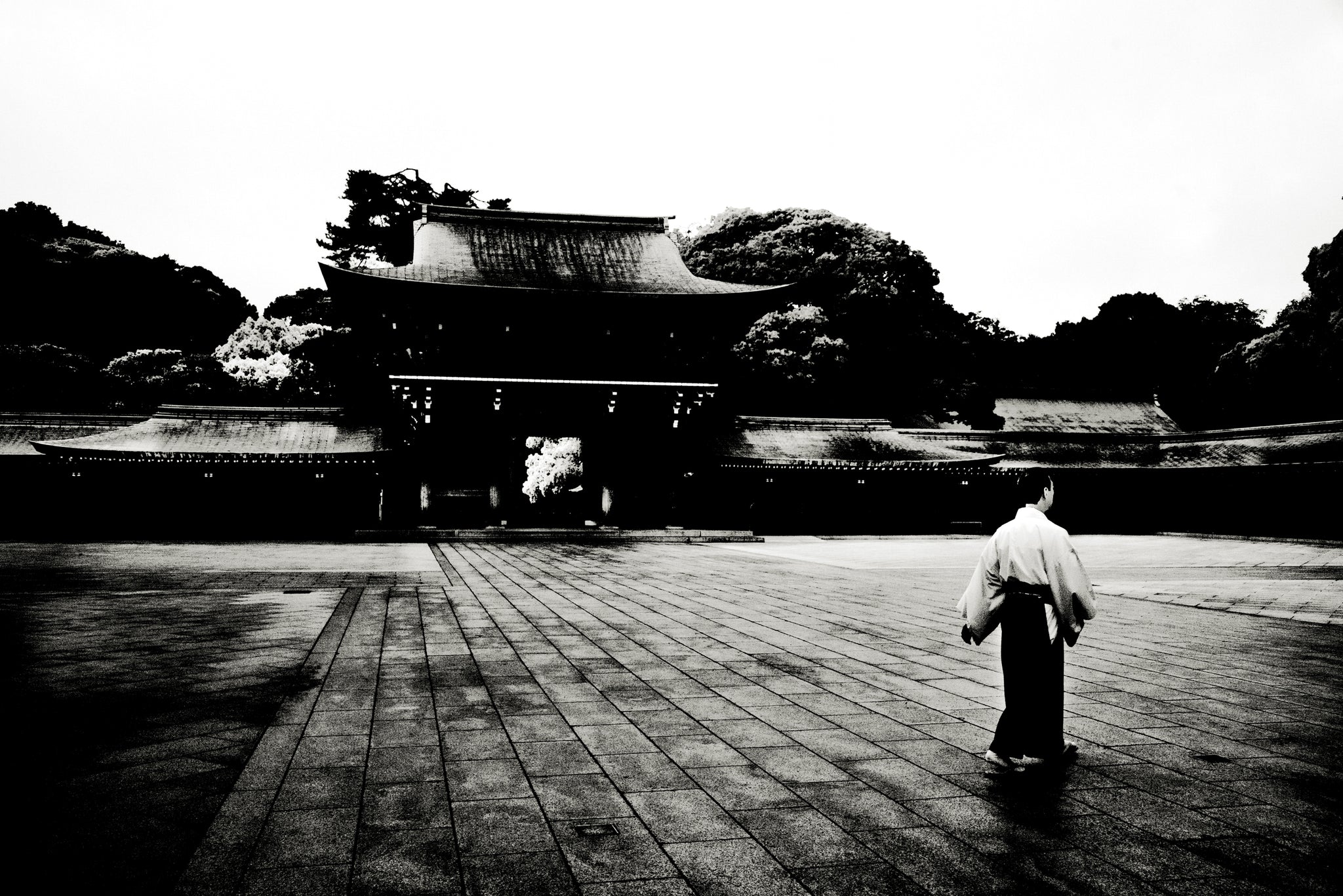 Meiji Jingu Temple, Tokyo by Andreas H. Bitesnich, limited edition photography