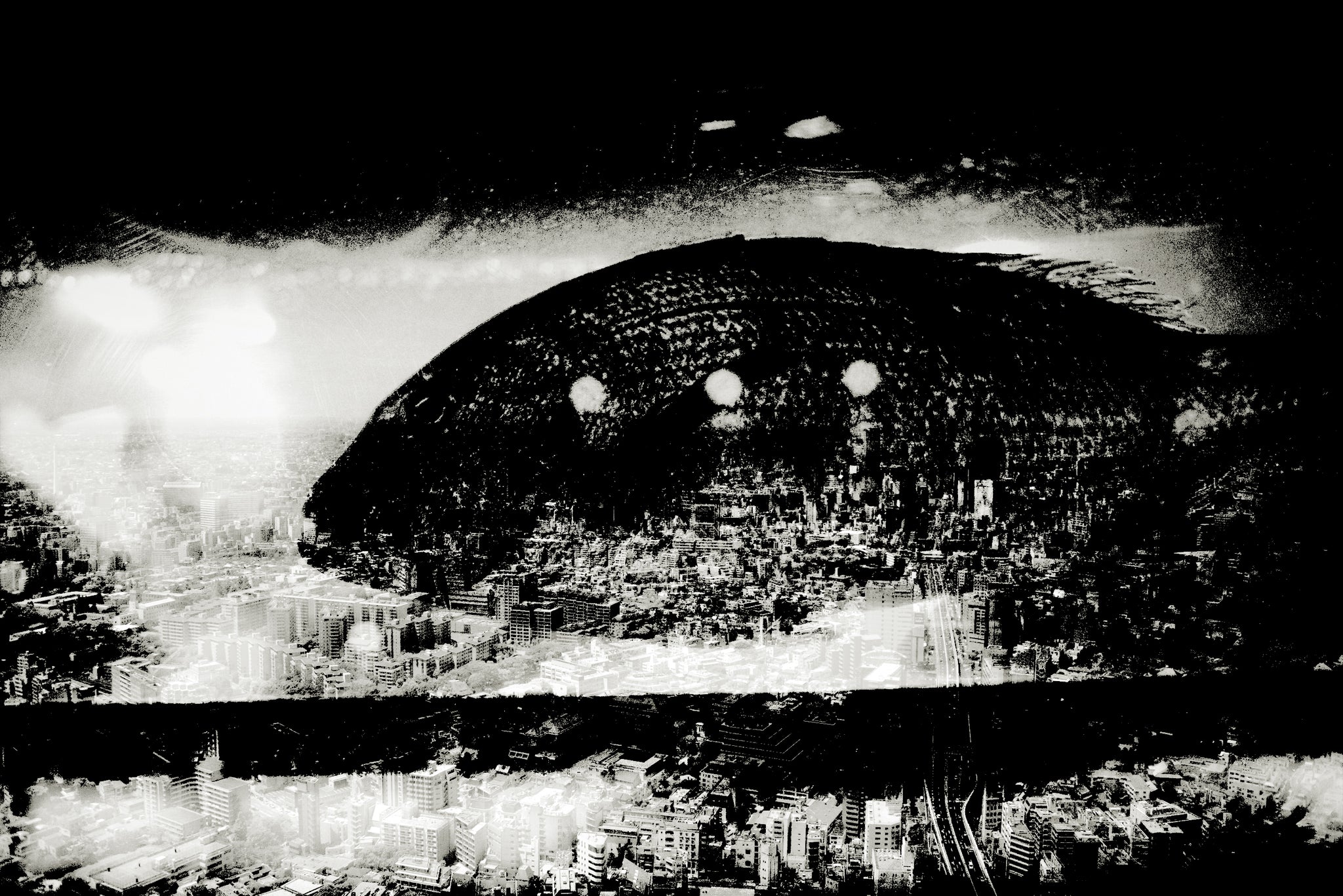 Fish Over Tokyo by Andreas H. Bitesnich, limited edition photography