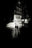 Lovers, Paris by Andreas H. Bitesnich, limited edition photography