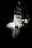 Lovers, Paris by Andreas H. Bitesnich, limited edition photography