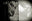 Dali, Paris by Andreas H. Bitesnich, limited edition photography