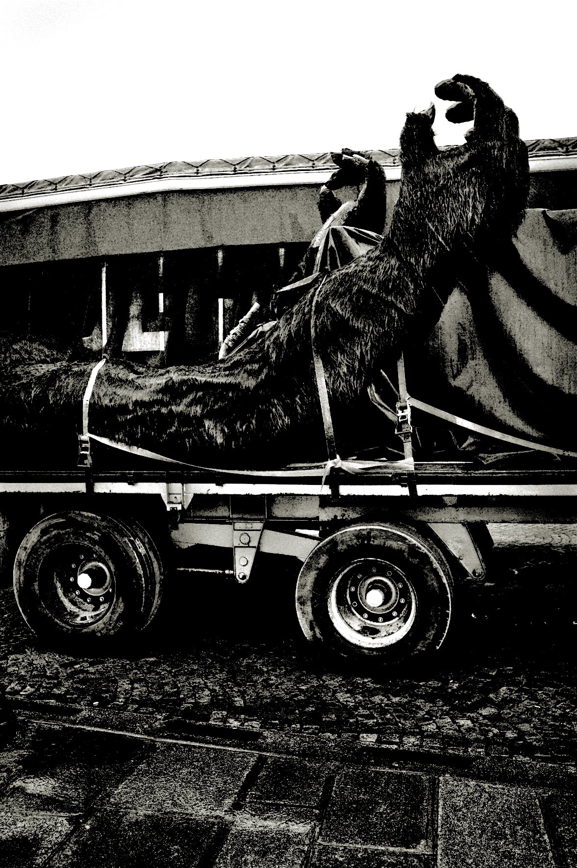 King Kong (Detail 1), Paris by Andreas H. Bitesnich, limited edition photography