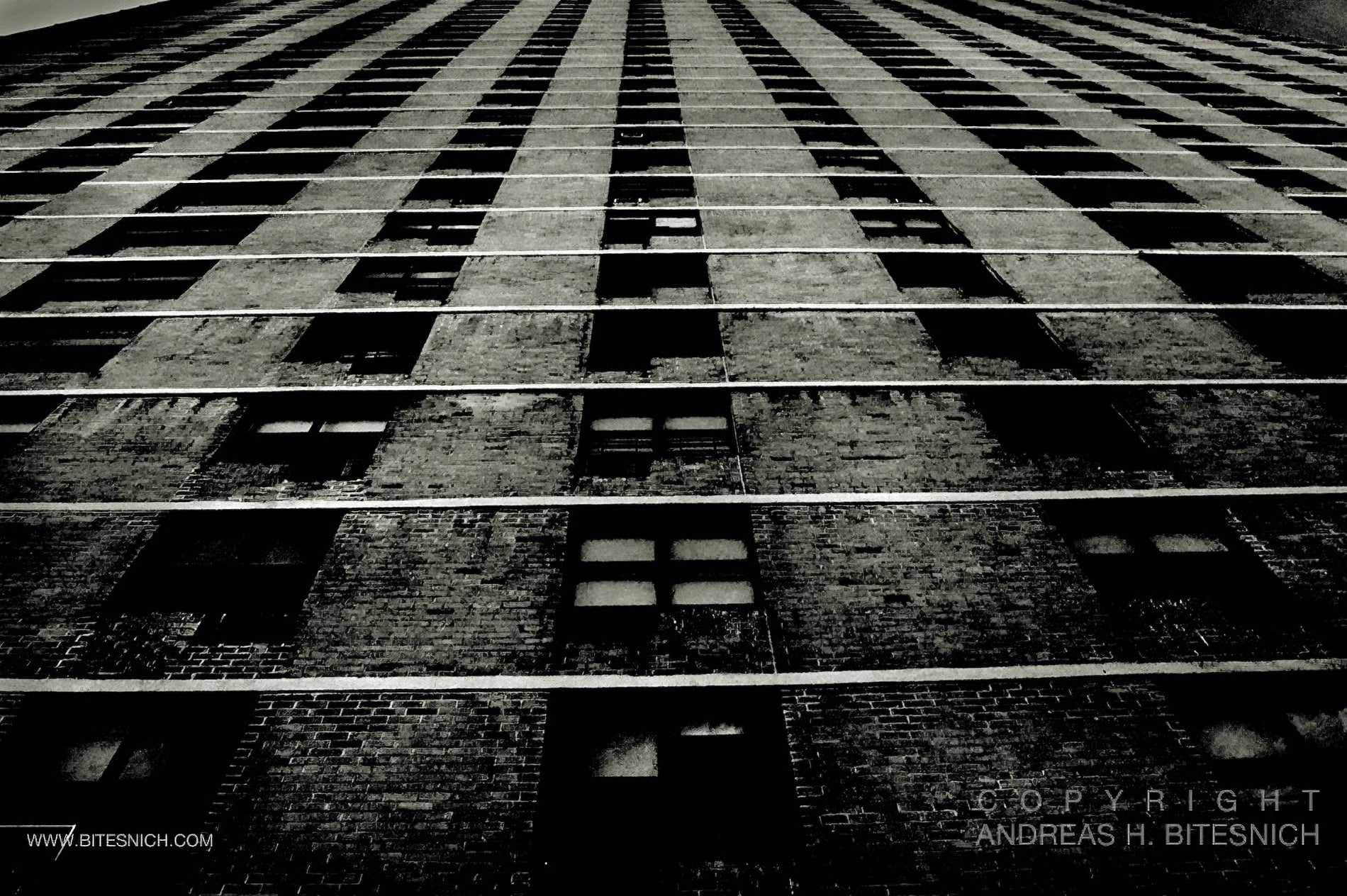 Looking Up, New York by Andreas H. Bitesnich, limited edition photography