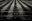 Looking Up, New York by Andreas H. Bitesnich, limited edition photography