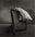 Absence by Christian Coigny, limited edition photography