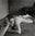La Sieste by Christian Coigny, limited edition photography