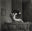 Behind (I) by Christian Coigny, limited edition photography