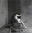 Behind (II) by Christian Coigny, limited edition photography