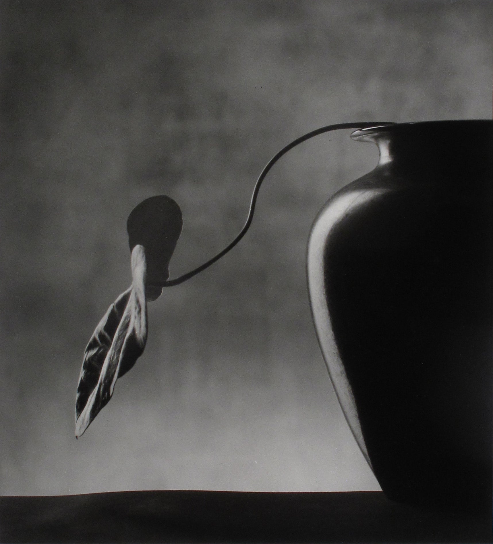 Vase Noir by Christian Coigny, limited edition photography