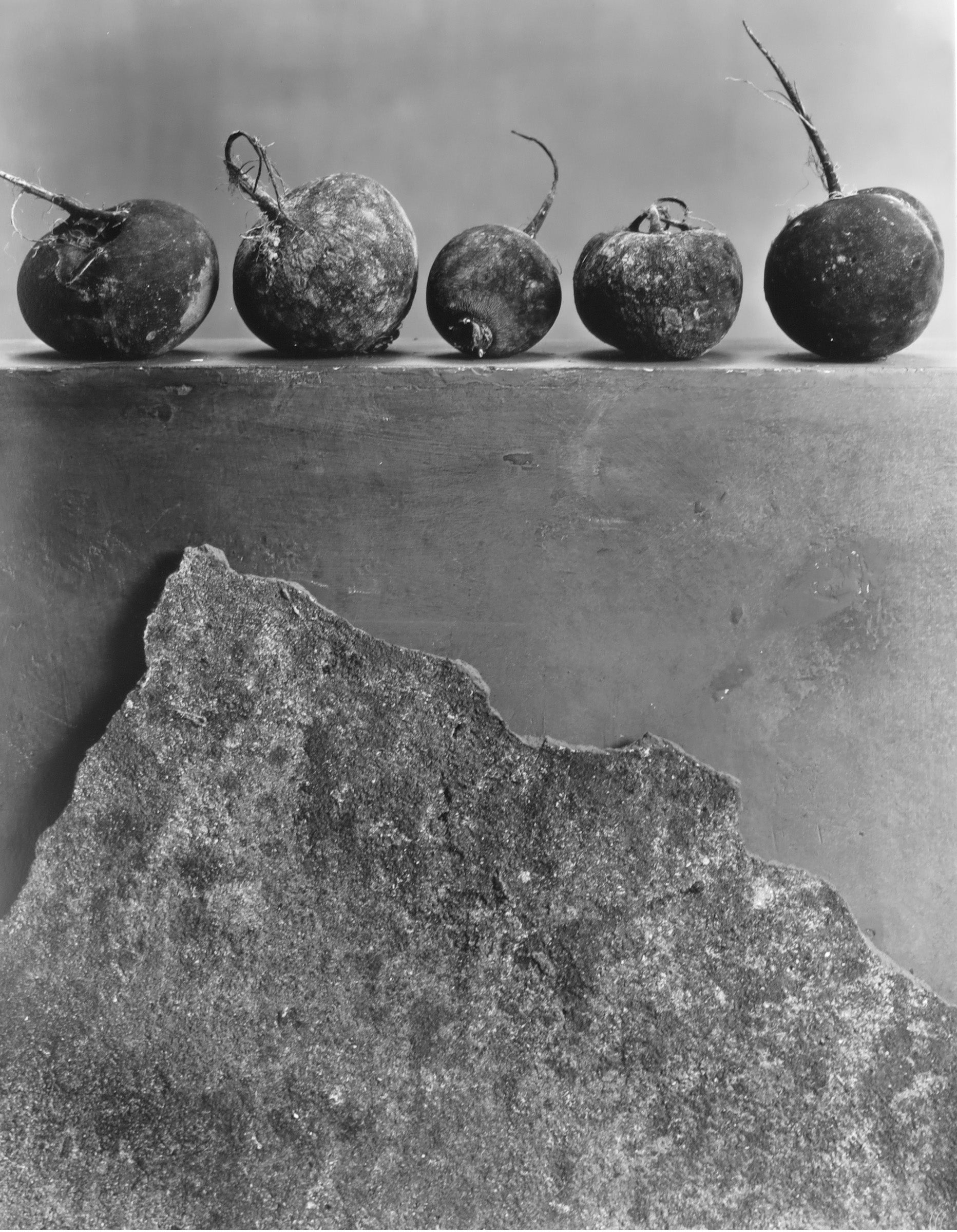 Radis Noir by Christian Coigny, limited edition photography